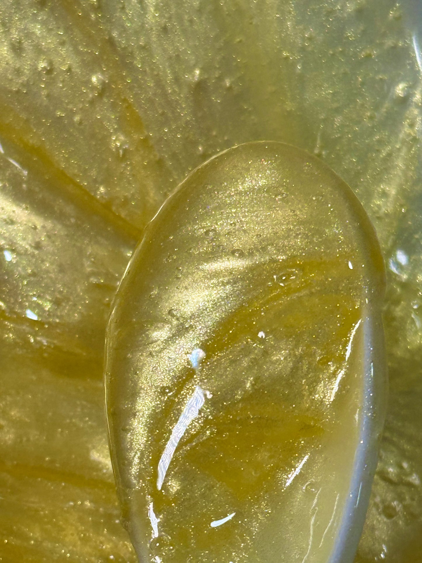 'Citrus Sunbeam' Moisturizing Lip Gloss
